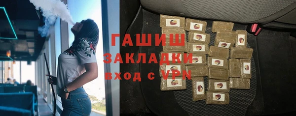 индика Бородино