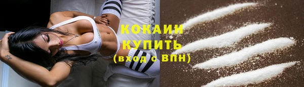 индика Бородино