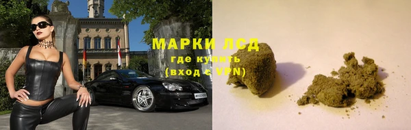 индика Бородино
