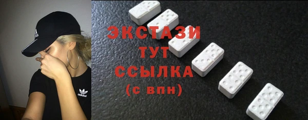 индика Бородино