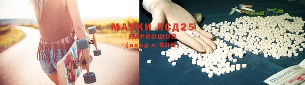 индика Бородино