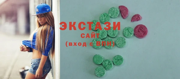 индика Бородино