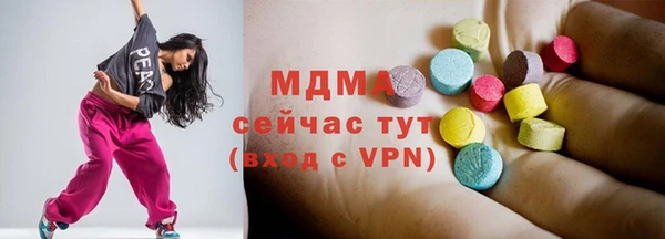 индика Бородино