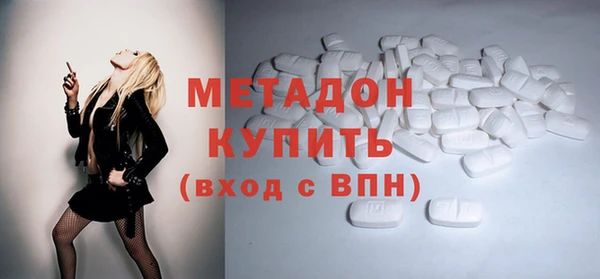 индика Бородино