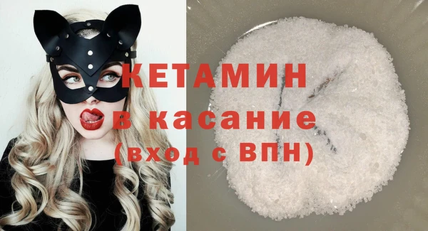 индика Бородино