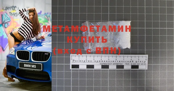 индика Бородино