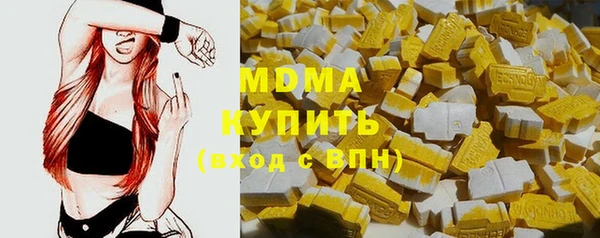 индика Бородино