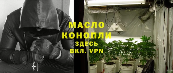индика Бородино