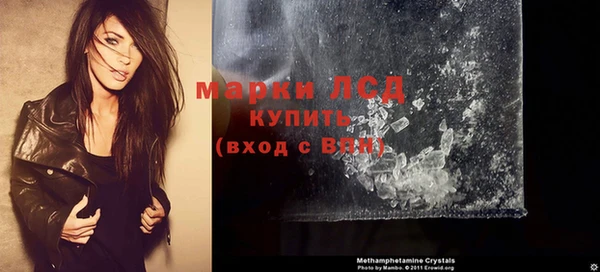 индика Бородино