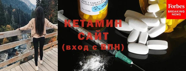 индика Бородино
