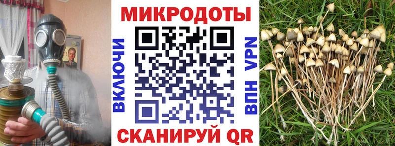 Галлюциногенные грибы ЛСД  маркетплейс официальный сайт  блэк спрут ссылки  Нерехта  купить наркотик 